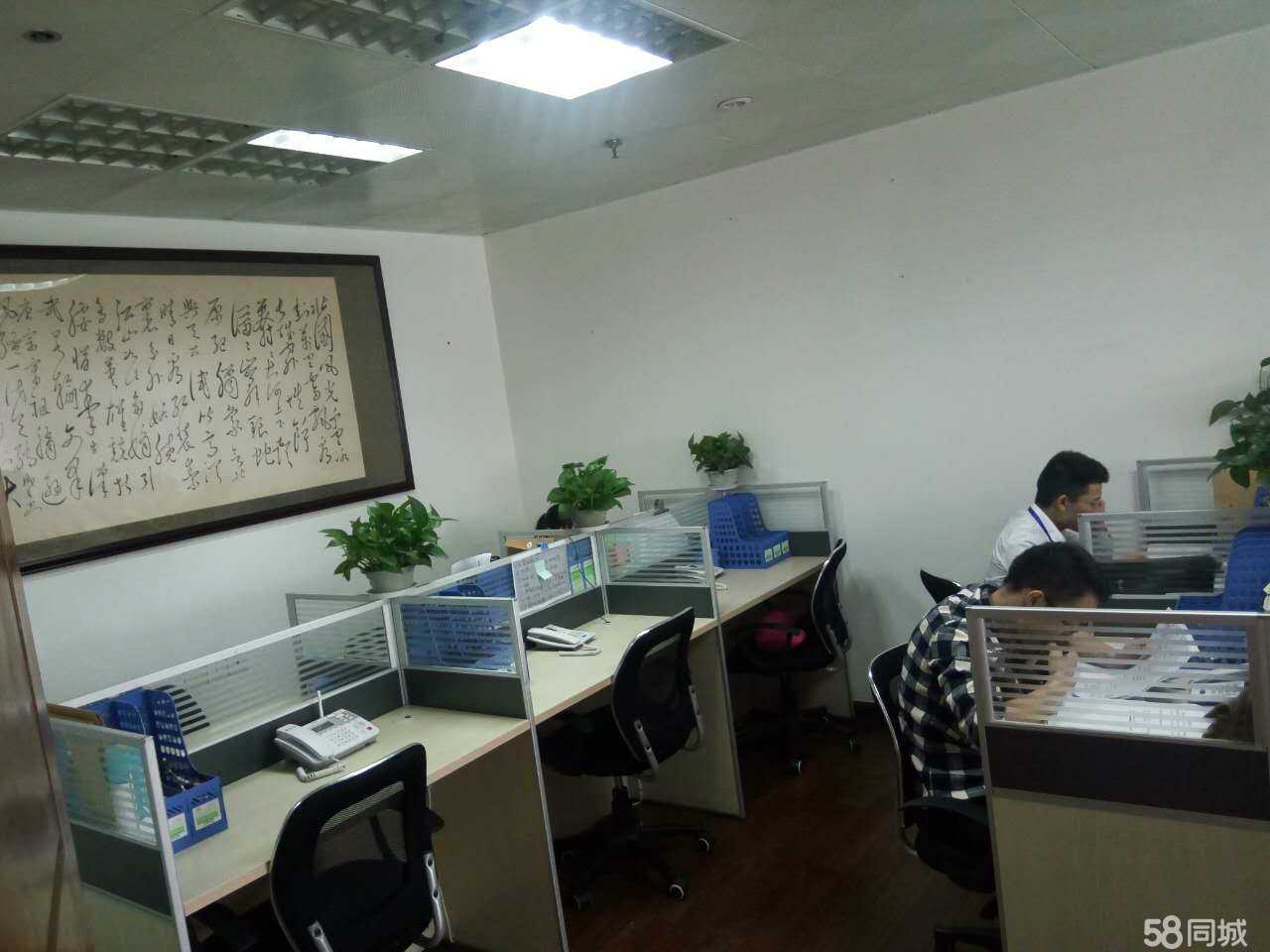 探究成都红富邦仕商务信息咨询公司价值塑造之道